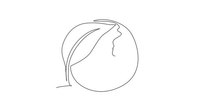 Green leaf on earth globe. Animated self drawing of continuous line draw nature leaf minimalist on white background. Simple line style. Hand drawn natural concept. Full length single line animation.
