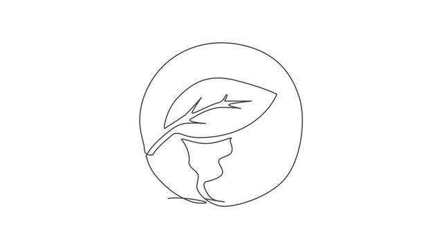 Self drawing animation of single line draw green leaf on globe earth. Leaf tree icon for green nature. Infographics, save environment campaign isolated on white background. Full length animated.