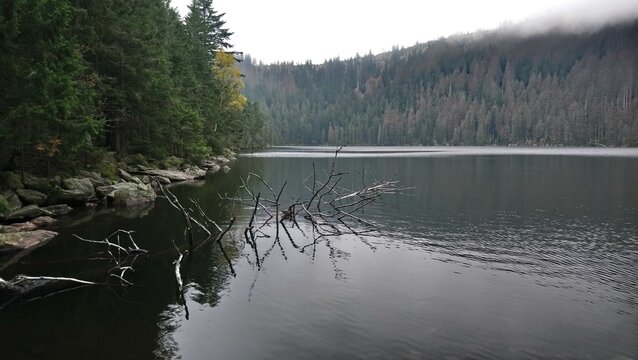Čern&eacute; jezero in the Bohemian Forest is the largest and deepest natural lake in the Czech Republic. This triangular lake surrounded with spruce forest is located about 6 km northwest of Železn&aacute; Ruda un