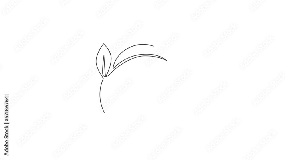 Poster green leaf. animated self drawing of continuous line draw leaf tree minimalist on white background. 