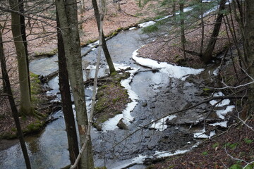 stream in winter