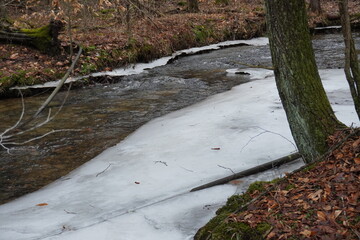 stream in autumn frozen