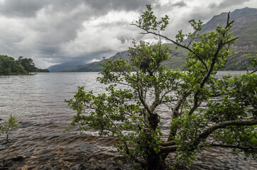 Landscape of the Loch Maree, Scotland, UK