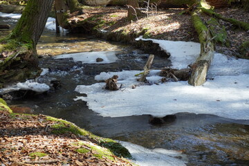 Frozen river in the forest