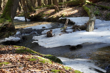 Naklejka na ściany i meble Frozen stream in the forest