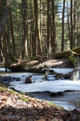 Winter river in the forest