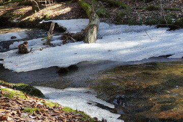 Frozen stream in the forest