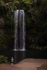 Jungle waterfall flowing through rocks and trees