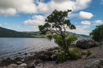 Landscape of Loch Ness, Lake in Scotland