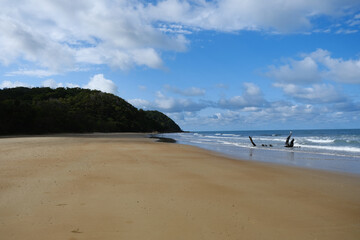 Beautiful Beach view with clouds, rocks and in the jungle 