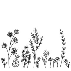 hand drawn flowers on white background 