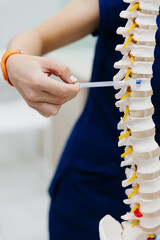 The doctor shows an intervertebral hernia on the spine at the table.