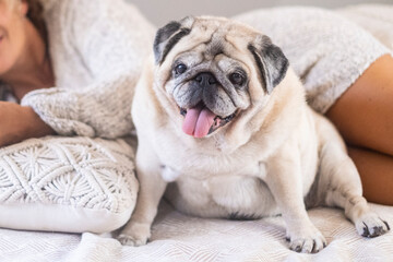 Funny portrait of dog with her owner in backgorund. Lifestyle domestic with animal ownership. Indoor leisure activity with puppy. Happy friendship. Together on bed