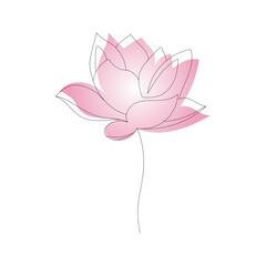 Pink lotus flower with one continuous line
