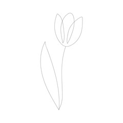 Tulip flower with one continuous line