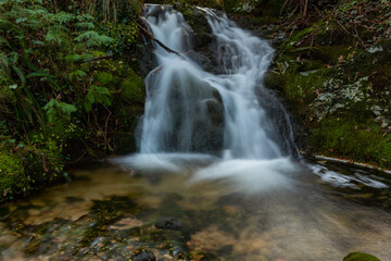 Naklejka premium waterfall in mata da albergaria