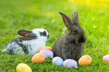baby rabbit with painted colored eggs in basket. happy easter bunny on spring green grass. egg hunting outdoor
