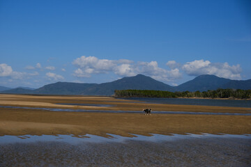 Beautiful Beach view with clouds, rocks and in the jungle 