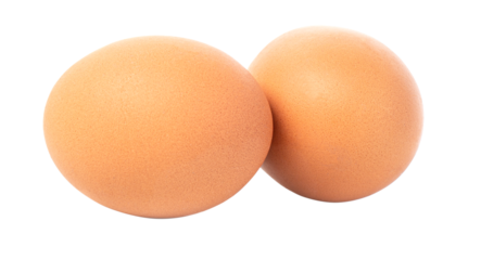two eggs  isolated