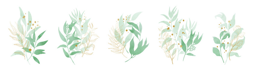 Fototapeta na wymiar Set of watercolor green leaves elements isolated on white background. Foliage collection of branch, eucalyptus leaves with gold splashes and line art. Botanical art design. Vector illustration.