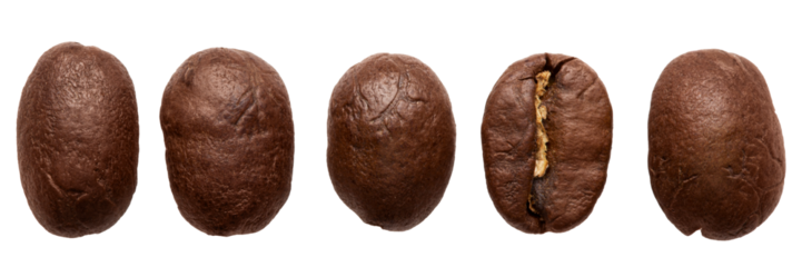 Five roasted brown coffee beans, of different shapes and sizes, are arranged in a row, macro photography, isolate
