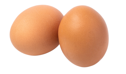 two eggs  isolated