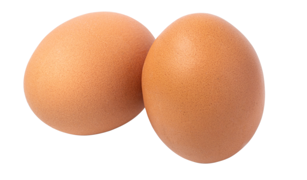 two eggs  isolated