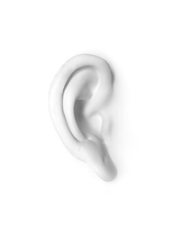 Ceramic sculpture of a white ear 3D illustration