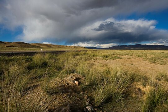 A penurious land in Qinghai