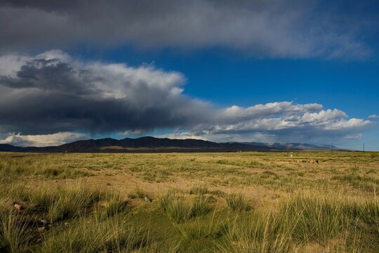 A penurious land in Qinghai