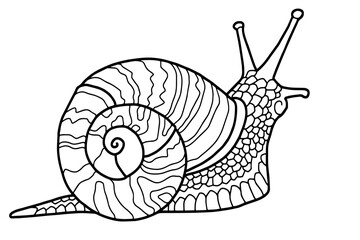 Vector illustration. Hand drawing snail. Coloring page. The original print. Illustration for a children's book. Coloring book for children and adults.	
