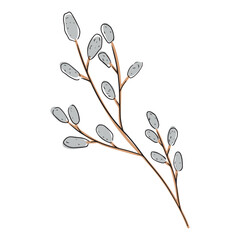 Beautiful pussy willow branch blossom as a symbol of HAppy Easter with black lines isolated on white background. Hand drawn vector doodle illustration in flat cartoon style. © Nataliya Pokrovska