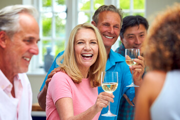 Group Of Multi-Cultural Senior Friends On Summer Vacation Meeting For Drinks In Holiday Apartment