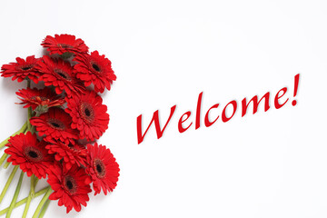 Welcome card. Beautiful red gerbera flowers and word on white background, top view