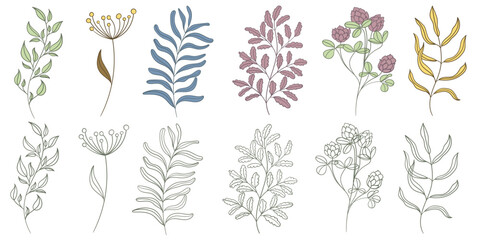 Floral set. Collection of coloured branches and their silhouettes on a white background in a flat style. Design element for cards, invitations, posters, posters, backgrounds. Vector.