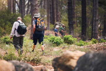 Hiking, fitness and people walking in forest for adventure, freedom and wellness in woods. Travel, outdoors and group of men hikers in natural environment for exercise, trekking and cardio workout - obrazy, fototapety, plakaty