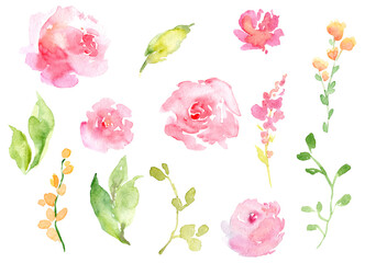Watercolor hand-painted pink roses, peonies flowers and green leaves - 571889685