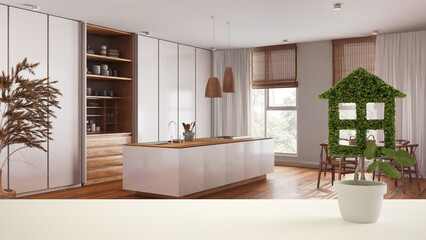 White table top or shelf with green plant in pot shaped like house, minimalist white kitchen and dining room. Japandi interior design, real estate, eco architecture concept idea