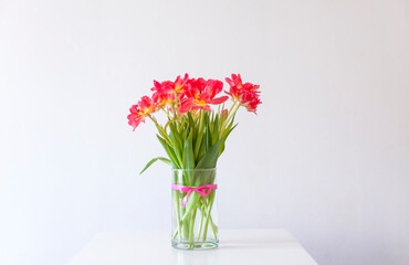Red tulips. Beautiful flowers in a vase on soft light background.