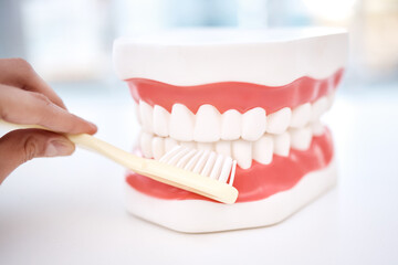 Dental, teeth model and orthodontics, toothbrush in hand and cleaning mouth, healthcare closeup and...