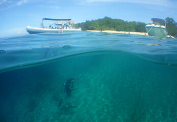 beautiful scenes of the crystal clear waters under the caribbean sea