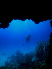 Fototapeta na wymiar divers on a reef in the caribbean sea