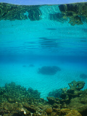 Fototapeta na wymiar beautiful scenes of the crystal clear waters under the caribbean sea