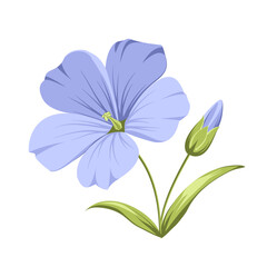 Vector illustration linen flowers. Isolated white background. Individual elements drawn flax.