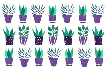 Potted house plants and flowers set. Green leaf houseplants, succulents. Foliage indoor decor in flowerpots for home and office interior. Flat coloured hand drawn 