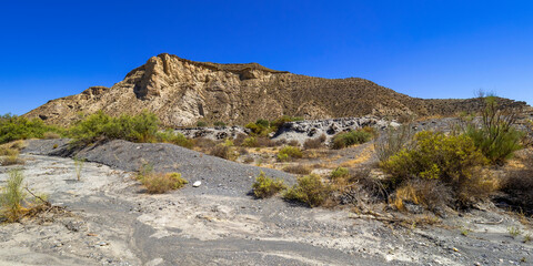 Tabernas Desert Nature Reserve, Special Protection Area, Hot Desert Climate Region, Tabernas, Almería, Andalucía, Spain, Europe