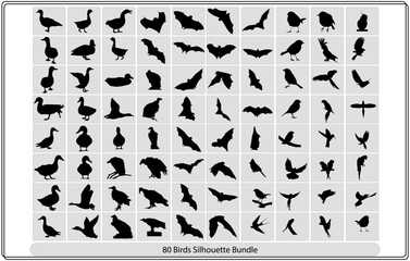 Collection of different birds silhouettes  position.