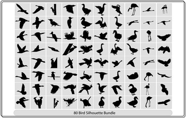 Collection of different birds silhouettes position.