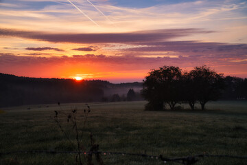Obraz na płótnie Canvas Sunrise over a neighboring forest with meadow in the foreground. Pasture landscape