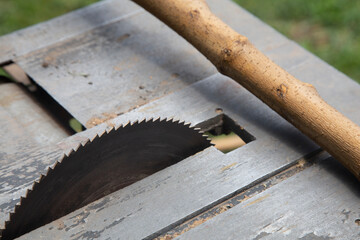 Small snail walking on a cut branch prepared for firewood